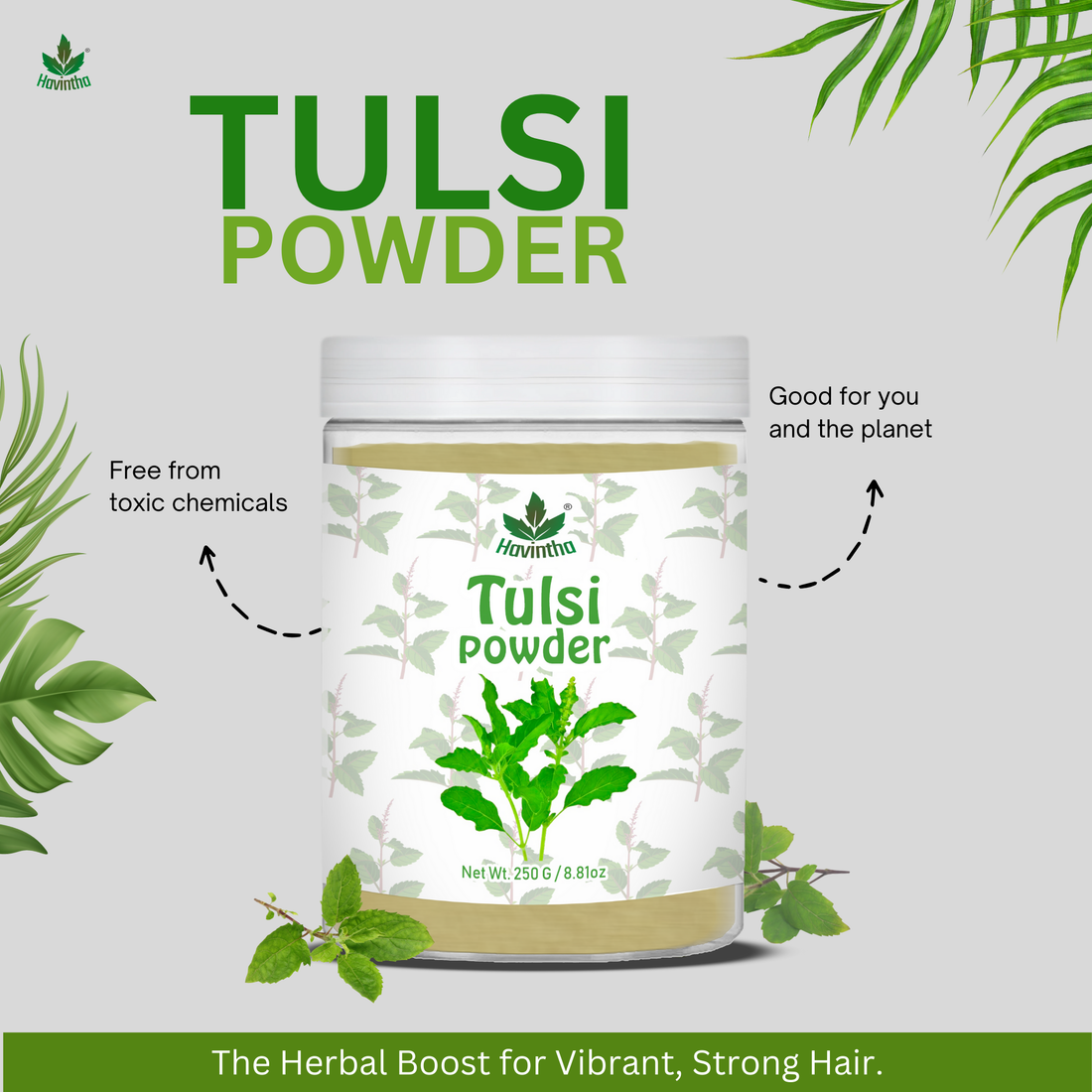 Havintha Natural Tulsi Powder | Good For Health &amp; Hair Care | 250 Grams (JAR)