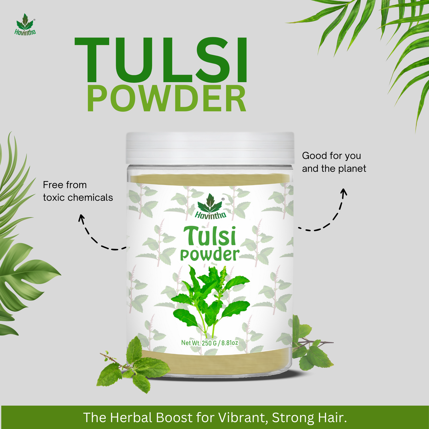 Havintha Natural Tulsi Powder | Good For Health &amp; Hair Care | 250 Grams (JAR)