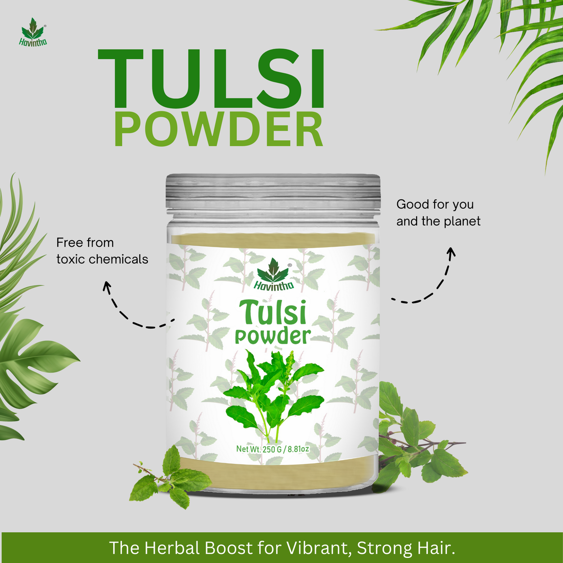 Havintha Natural Tulsi Powder | Good For Health &amp; Hair Care | 250 Grams (JAR)