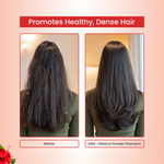 Natural Hibiscus Powder Shampoo | Prevents Hair Fall & Nourishes Lifeless Hair | for Overall Hair Growth | Men & Women (227g)
