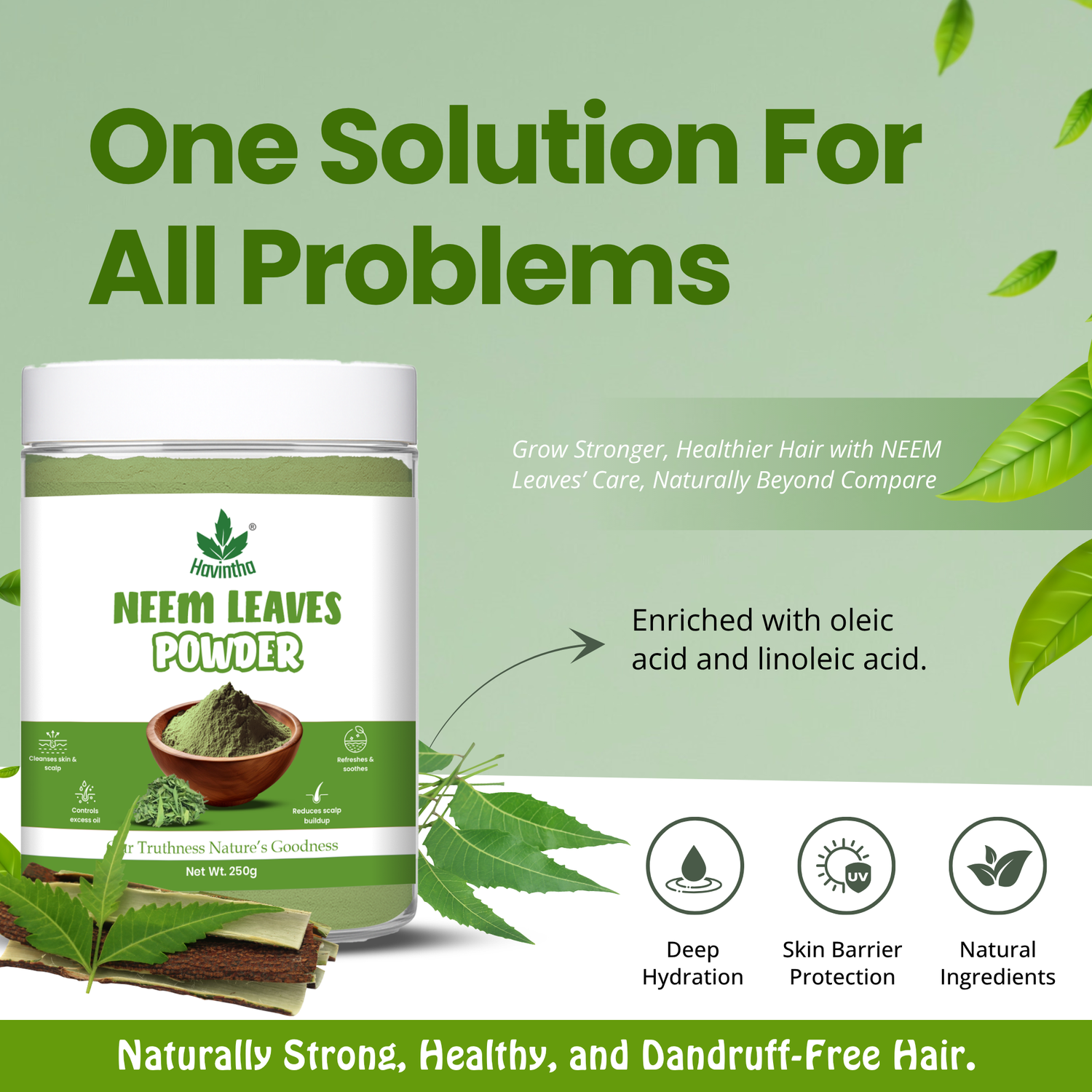 Havintha Natural Neem Powder | For Antioxidant Benefits | For Hair &amp; Skin Care | 250 Grams (JAR)
