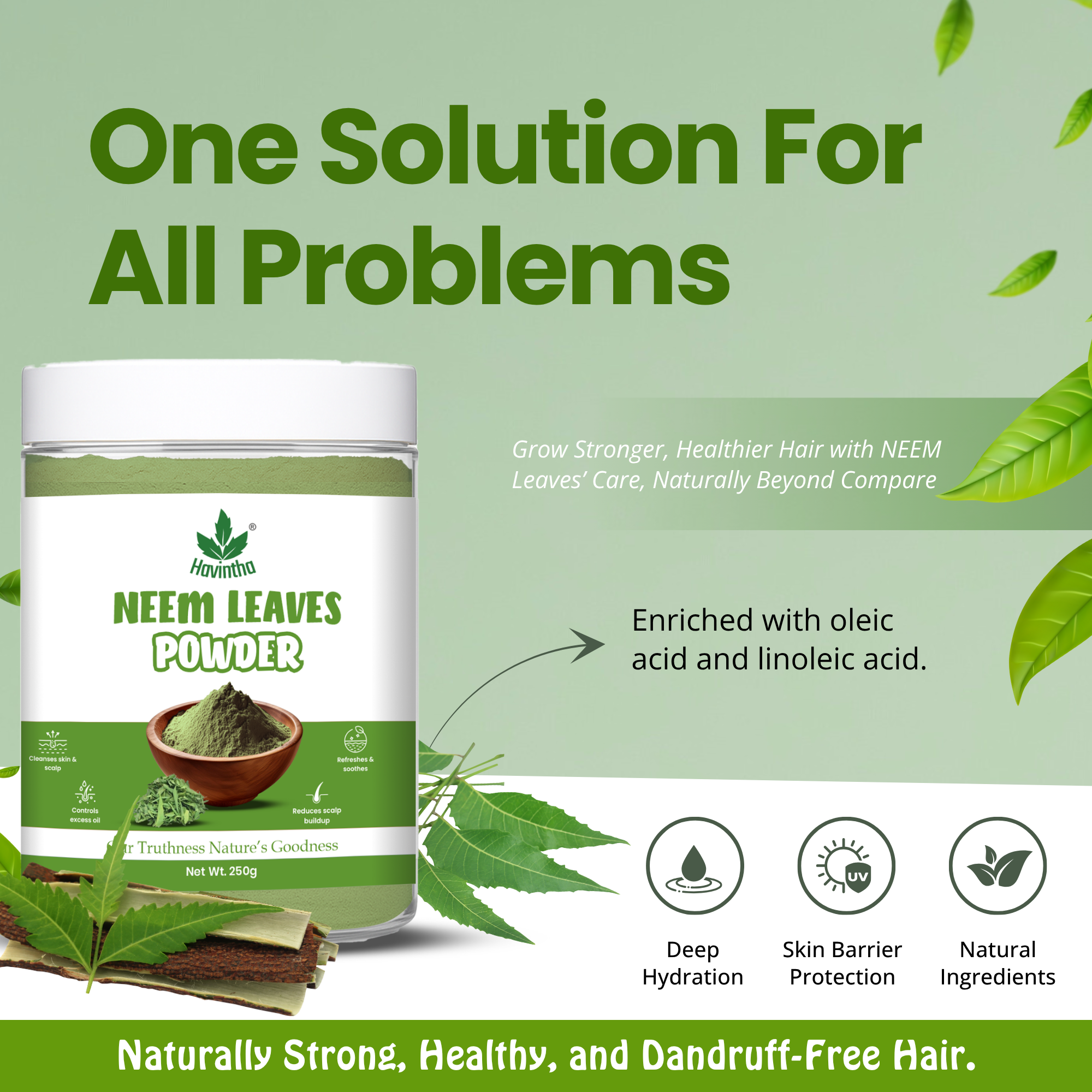 Havintha Natural Neem Powder | For Antioxidant Benefits | For Hair &amp; Skin Care | 250 Grams (JAR)