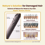 Havintha Premium Shampoo & Conditioner Duo 200g Each | Anti Hair Fall, Anti Dandruff, Frizz Control & Moisture Lock | Herbal Shampoo + Conditioner with Shikakai, Aloe Vera, Methi, Spirulina & Keratin