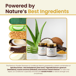 Havintha Premium Shampoo & Conditioner Duo 200g Each | Anti Hair Fall, Anti Dandruff, Frizz Control & Moisture Lock | Herbal Shampoo + Conditioner with Shikakai, Aloe Vera, Methi, Spirulina & Keratin