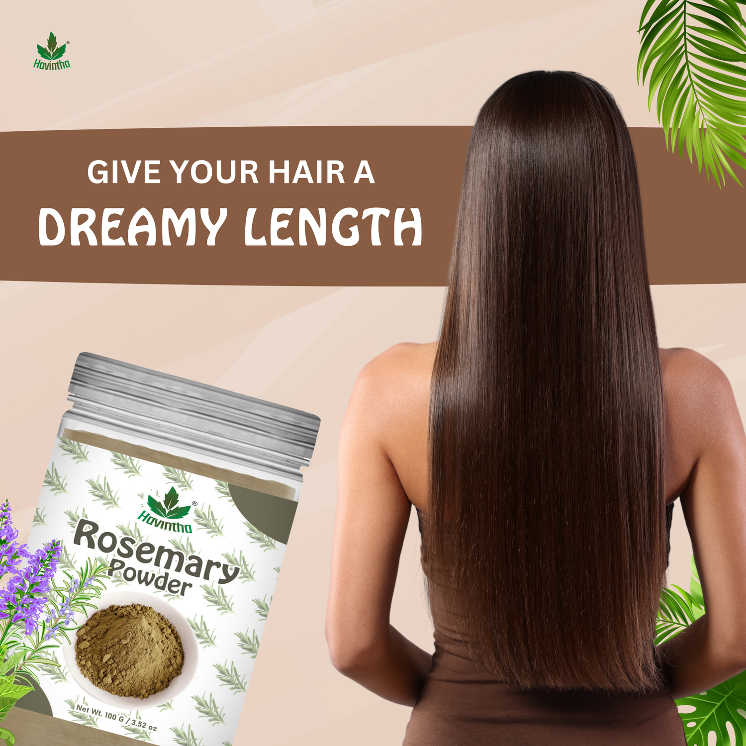 Havintha Natural Rosemary Powder For Shiny Hair|Rosemary powder for hair growth| Men &amp; Women - 100gm