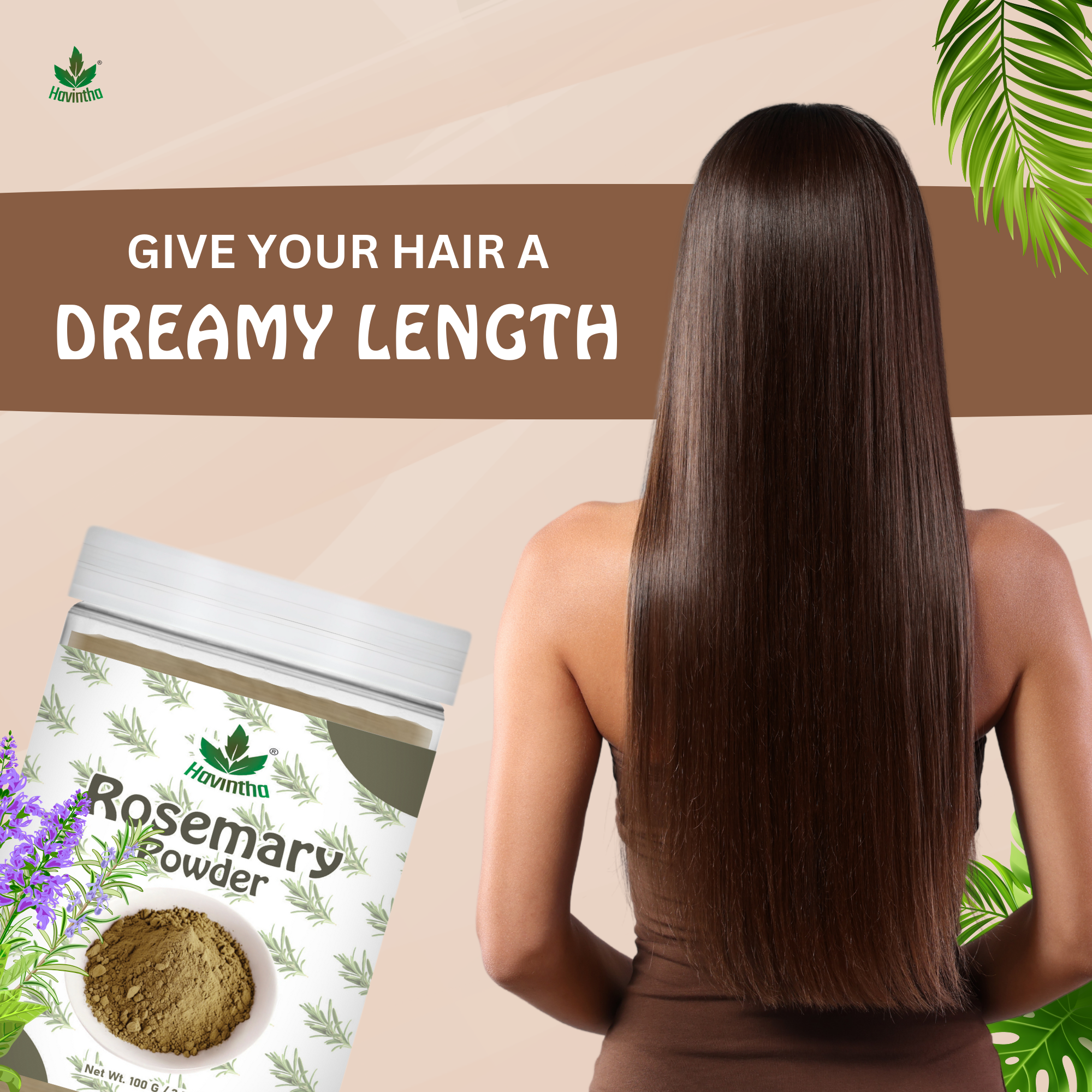 Havintha Natural Rosemary Powder For Shiny Hair|Rosemary powder for hair growth| Men &amp; Women - 100gm