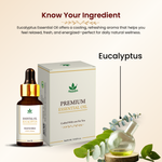 Havintha Pure and Organic Eucalyptus Essential Oil for Skin, Hair and Aromatherapy - 15 ml.