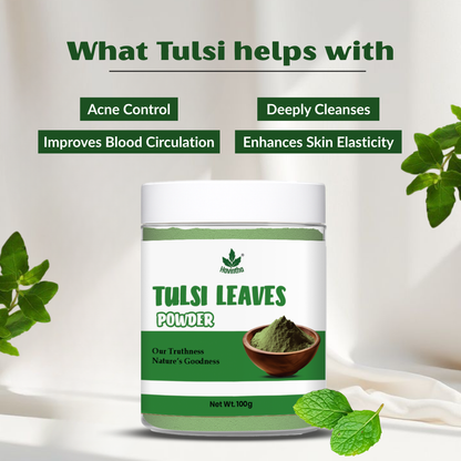 Havintha Natural Tulsi Powder | Good For Health &amp; Hair Care | 100 Grams (JAR)