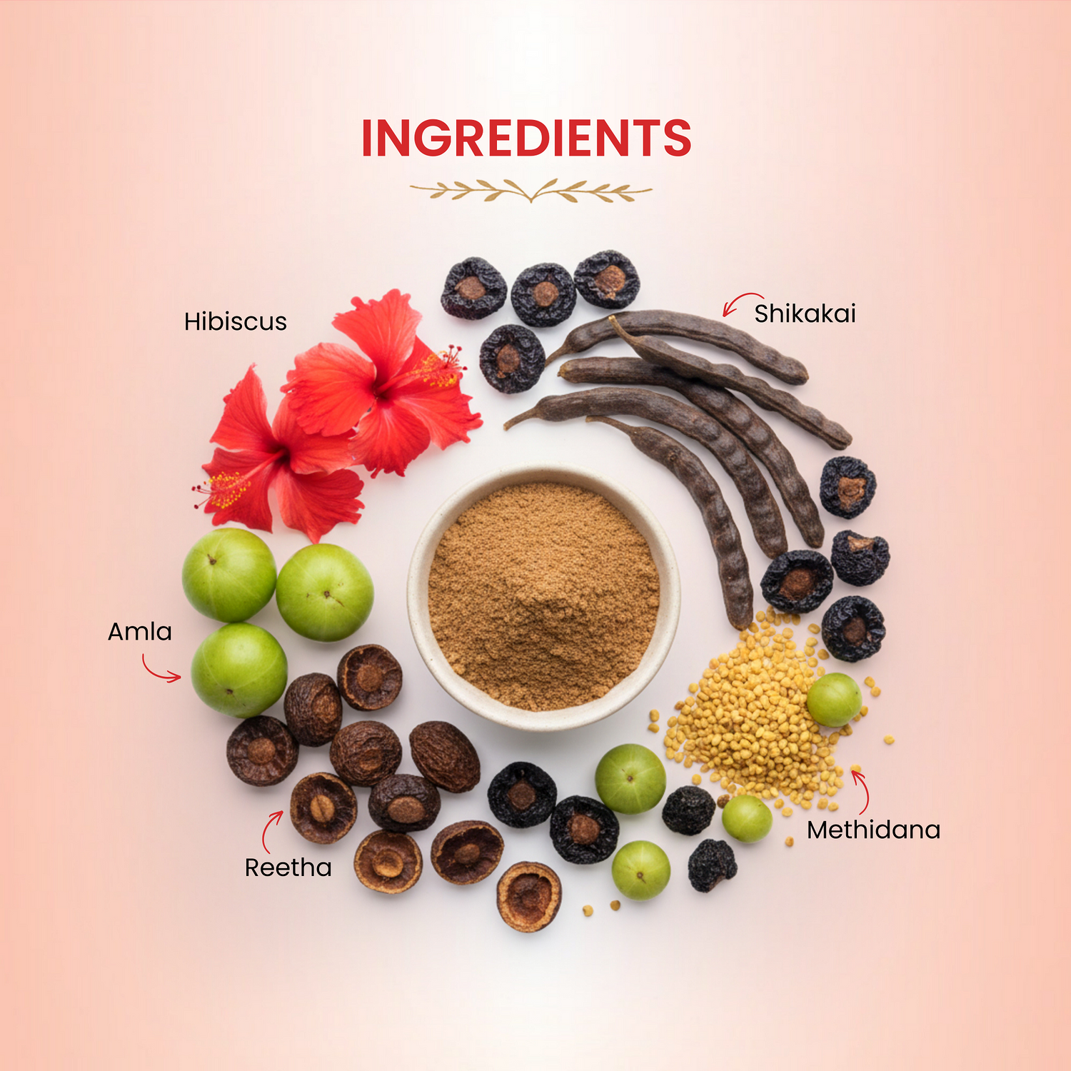 Natural Hibiscus Powder Shampoo | Prevents Hair Fall &amp; Nourishes Lifeless Hair | for Overall Hair Growth | Men &amp; Women (227g)