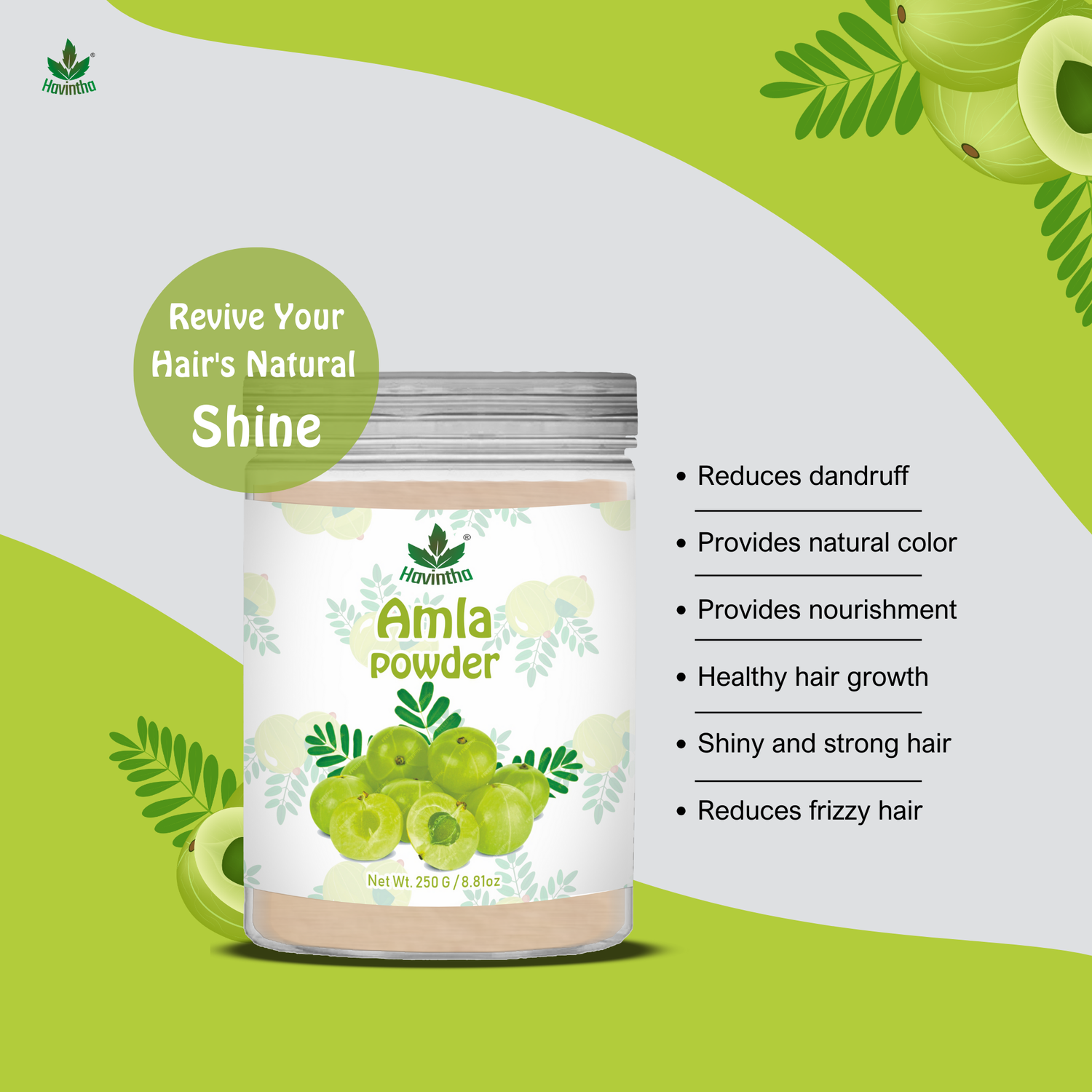 Havintha Natural Amla Powder | 250 Grams (JAR)