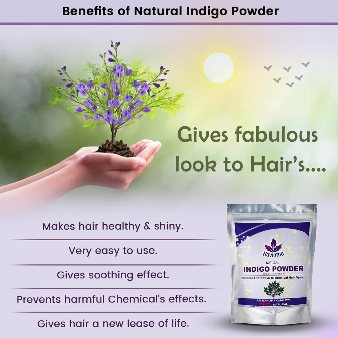 Havintha Natural Powder (Indigofera tinctoria) for Hair, Pure and Herbal for Natural Hair Colorant Black/Brown Hair &amp; Beard Dye/Color - 1KG