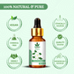 Haivntha Natural Mogra Essential Oil for Wound Healing, Nourishing Skin, Massage and Aromatherapy -15ml