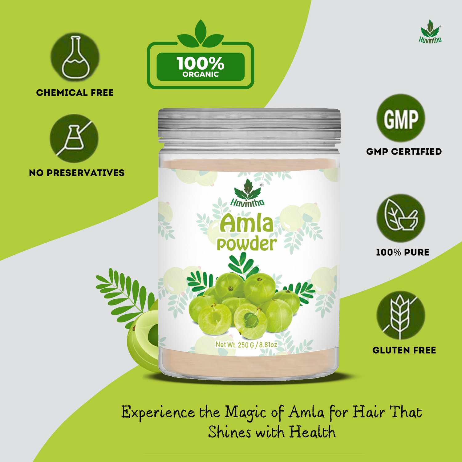 Havintha Natural Amla Powder | 250 Grams (JAR)