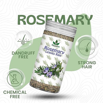 Havintha Natural Whole Rosemary Leaves | Rosemary Dried Leaves For Hair Growth | Edible Quality - JAR - 80g