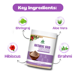 Havintha Natural Hair Mask Powder for Dandruff, Hair Fall, and Hair Growth - 250 grams