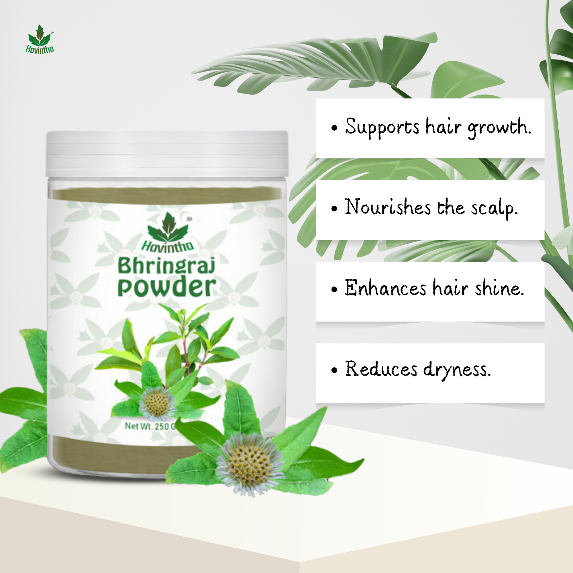 Havintha Natural Bhringraj Powder | For Strong &amp; Silky Hair | 250 Grams (JAR)