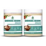 Natural Bhringraj and Brahmi Powder Shampoo | Fights Dandruff & Deeply Moisturizes Hair | Men & Women (227g)