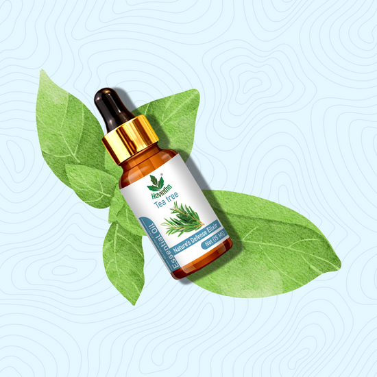 Havintha Tea Tree Essential Oil For Healthy and Glowing Skin, Acne, Dark spots and Reducing Dandruff | Pure and Organic-15 ml.