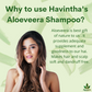Havintha Natural Amla Reetha Shikakai and Aloevera Powder Shampoo for Oily Hair