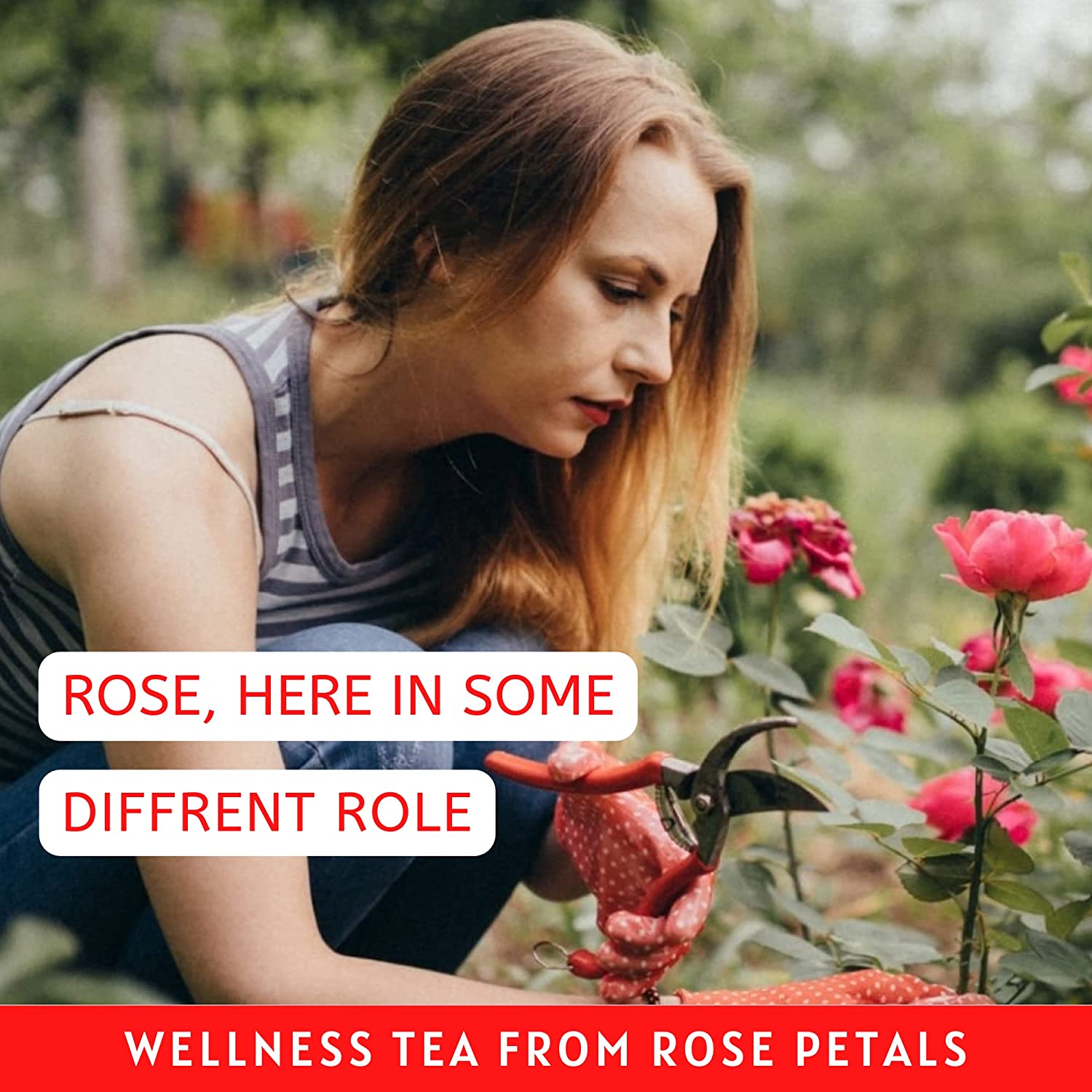 Havintha Natural Rose Tea | Herbal Tea - Rose Petals for Hair and Skin | High in Vitamin C - 50 gm