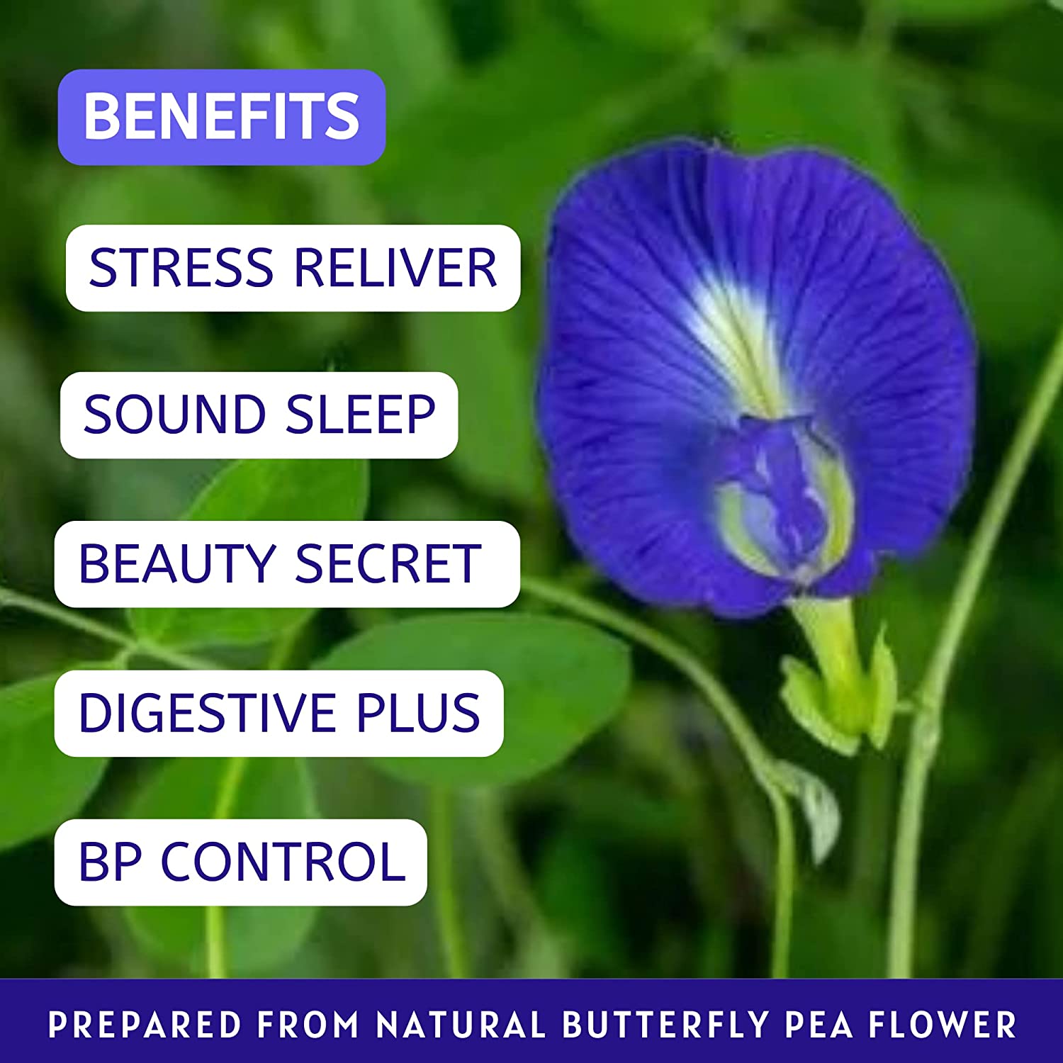 Havintha Natural Butterfly Pea Tea | Hot, Iced Butterfly Pea Flower Herbal Tea | Supports Skin &amp; Hair Health - Vegan - Caffeine Free - 50 gm (100 Cups)