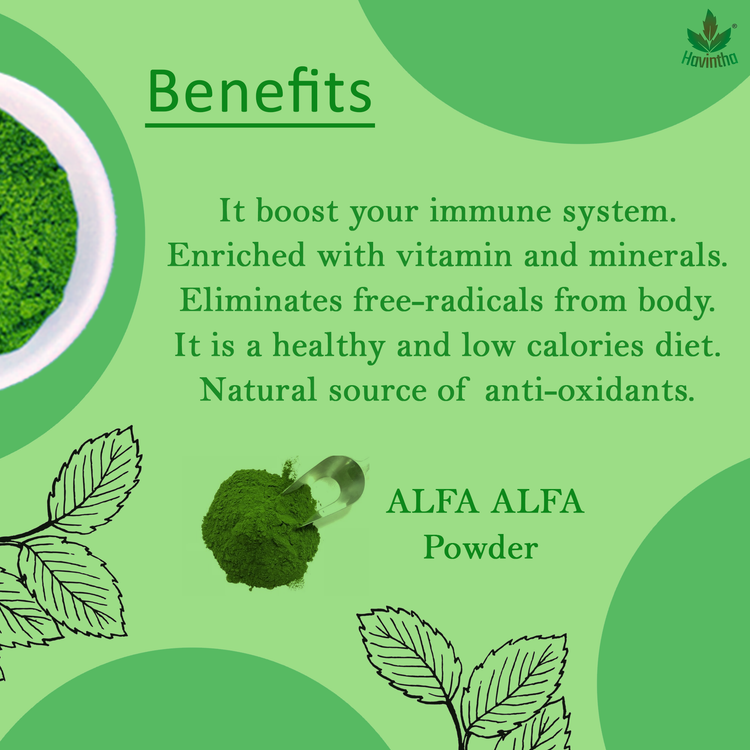 Benefits Havintha Natural Alfalfa Grass Powder 