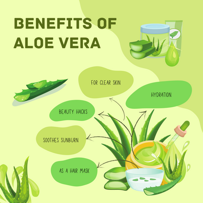 Havintha Natural Aloe vera Powder for Hair Growth, Face Wash - 227 grams