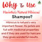 Havintha Natural Amla Reetha Shikakai Methidana And Hibiscus Powder Shampoo
