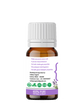 Havintha Pure and organic Lavender essential oil for skin care, hair care and healing injuries-15ml